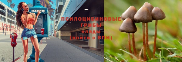 соль ск Покров