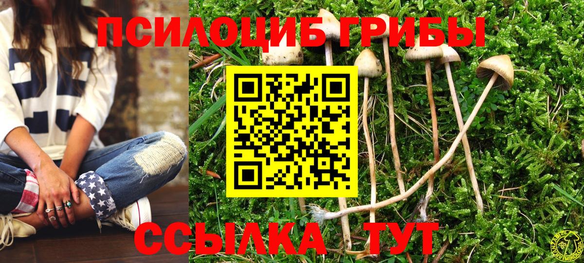 наркотики  Богородицк  Псилоцибиновые грибы прущие грибы 