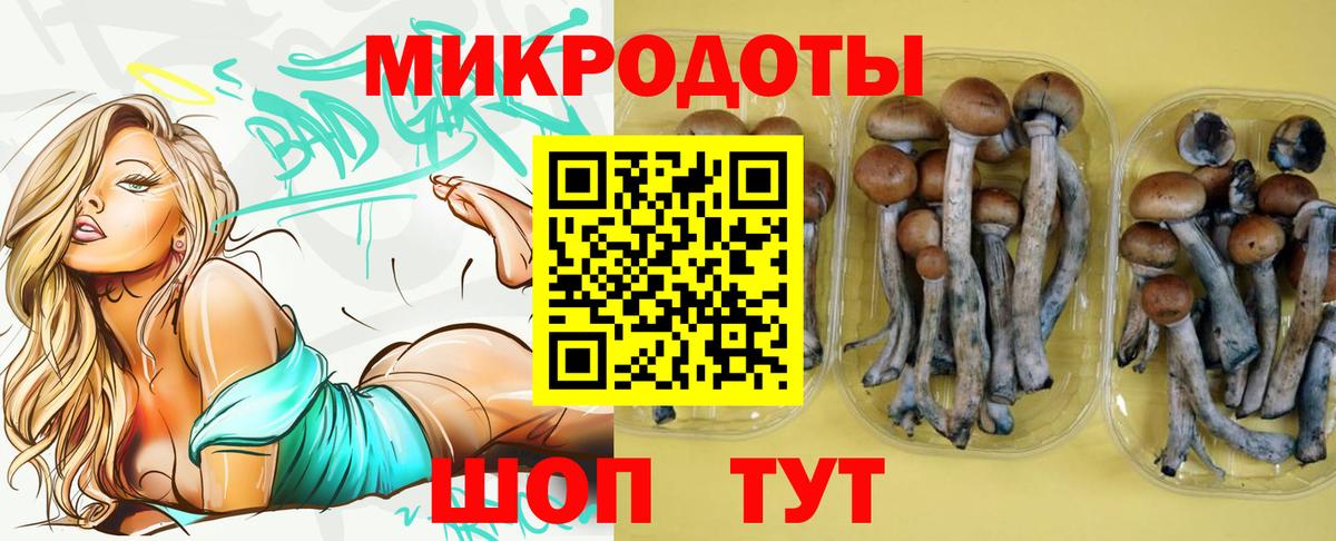 Псилоцибиновые грибы Psilocybe  Псилоцибиновые грибы ЛСД  Вход с VPN  Богородицк 